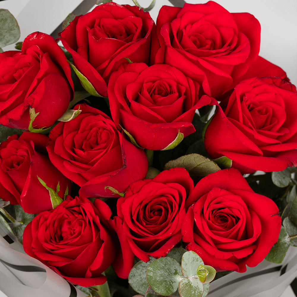 Red Roses Bouquet